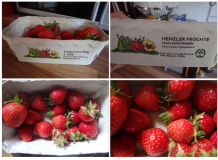 Die Besten Erdbeeren EVER gibt es dieses Jahr beim Henzler in Großbettlingen