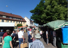 Nürtinger Wochenmarkt 2014