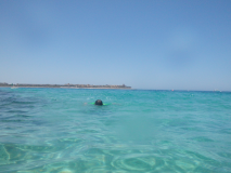Foto Album Unterwasseraufnahmen Strand Cleopatra Ägypten 2014