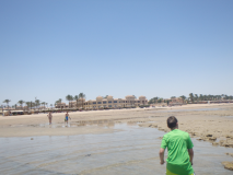 Foto Album Unterwasseraufnahmen Strand Cleopatra Ägypten 2014