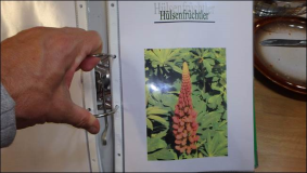 MPG : Wie muss ein Herbarium aussehen
