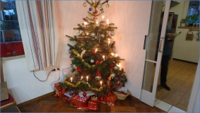 Unser Weihnachtsbaum 2014.
