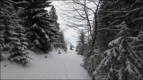 Winterwanderung auf den Grünten Ende 2014