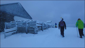 Schnee und Eislandschaft auf der Grüntenhütte 2014.
