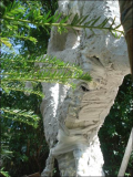Kleine Entstehungsgalerie der Skulptur am Gehwegrand 2007-08-12