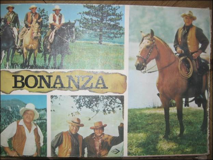 Bonanza als Brettspiel aus den 70iger Jahren, Antik