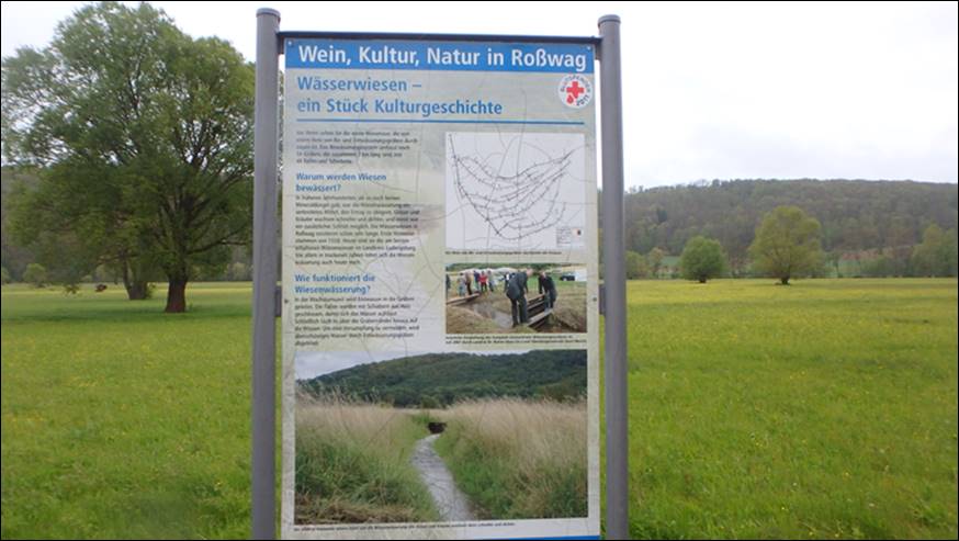 Maiwanderung 2017: an der Enz von Roßwag nach Mühlheim