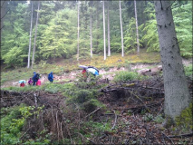 Maiwanderung 2014 im Monbachtal bei Regen