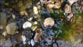 Algen im Teich : UV Lampe einbauen oder tauschen