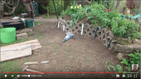 Stahlstangen im Garten als Abtrennung