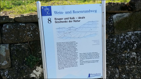 Radtour Schwarz-Lidl zu Burg Weibertreu, Neckarsulm HEilbronn