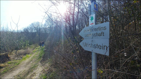 Wanderung Ulrichstein bei Nürtingen